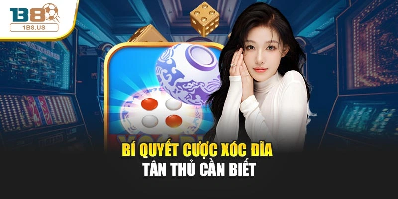 Bí quyết cược xóc đĩa tân thủ cần biết