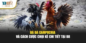 Đá gà Campuchia Và Cách Cược Chọi Kê Chi Tiết Tại B8