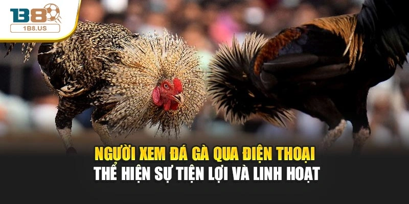 Người xem đá gà qua điện thoại thể hiện sự tiện lợi và linh hoạt
