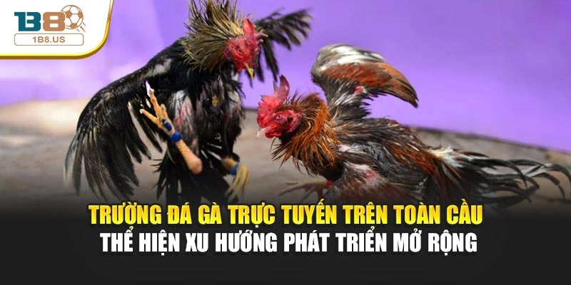 Trường đá gà trực tuyến trên toàn cầu thể hiện xu hướng phát triển mở rộng